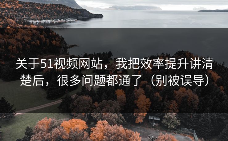 关于51视频网站,我把效率提升讲清楚后,很多问题都通了(别被误导)